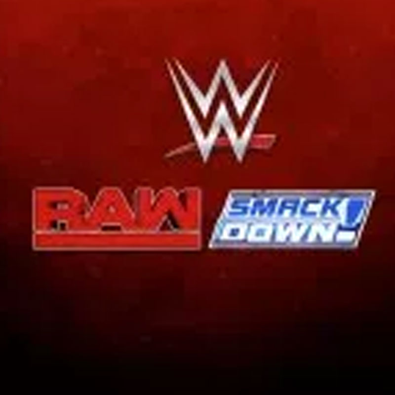 Raw And Smackdown Now Available Live In Hindi Indian Television