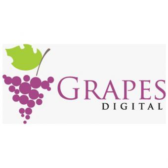 https://www.indiantelevision.com/sites/default/files/styles/340x340/public/images/tv-images/2021/05/06/grapes.jpg?itok=wG5WeMUo