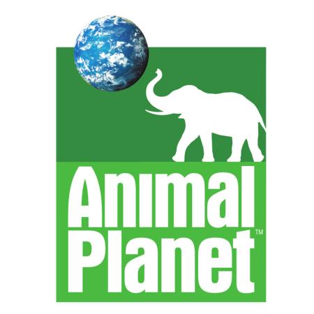Animal Planet Intl announces new programming initiatives | Page 3 | Indian  Television Dot Com