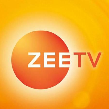 Essel Vision to bring a new show on Zee TV